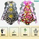 동산한방병원 이미지
