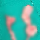 힐스타운 동물병원 이미지