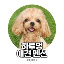 그하루 애견펜션 | [내돈내산] 강화도 하루멍 애견펜션 후기 | 600평 운동장+독채 숙소 솔직 리뷰