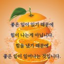 토요일, 일요일 이미지