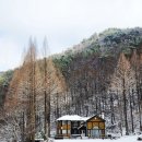 호수풍경속으로 이미지