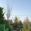 산골어린이 공원 이미지