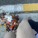 아우어모먼트 이미지