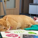 그림속미술세상(7세) 이미지