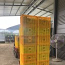 보미저수지 이미지