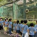 래미안유치원 이미지