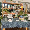 피즈클럽(FIZZ CLUB) 이미지