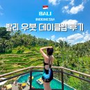 디크레타 | 발리 우붓 데이클럽 사진찍기 좋은 디 투카드 커피 클럽 솔직 후기