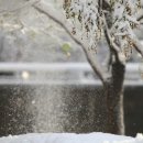 꿈의숲 퍼포먼스홀 이미지