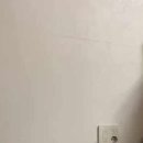 도도한 펫츠 이미지