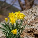 시목회관앞 이미지