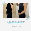 파크중기 | 임신중기 배크기 몸무게 변화 21주 22주 23주 24주 25주 26주 27주