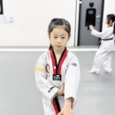 더원태권도 이미지