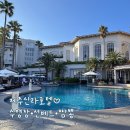 멤버쉽풀 | 제주. 제주신라호텔 수영장(선베드 예약, 풀사이드바 짬뽕) 후기
