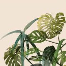 보테니컬 이미지