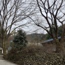 별천지산장