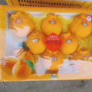 시은농장 이미지