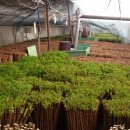 두름농장 이미지