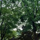 데미샘힐링빌리지1 이미지