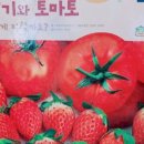 광산구-012 네이버블로그