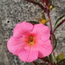 썬뷰티(sun beauty)