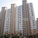 롯데부동산중개사무소 이미지