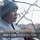 대도
