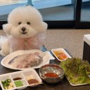 중앙시장 어울림센터 | 속초회포장 맛집 추천 중앙시장 진미활어센터 광어 우럭 도다리 포장 후기