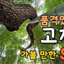 품격있는 고창여행, 가볼만한 9곳 / 선운사, 도솔암, 동호해수욕장, 병바위, 학원농장...... 이미지