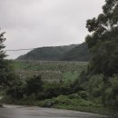 용소 上 이미지