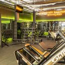 휘트니스 풀바디 이미지