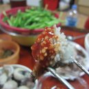 코딱찌