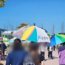 북부재활용센터 | 10월 포천 가든페스타 ㅡ 억새꽃 후기 포토존 입장료 내돈내산