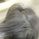 리슈빌프로헤어 | [부천] 부천중동 에이바헤어 중동에비뉴점 겨울쿨톤 염색후기