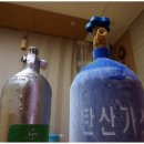 남동가스충전소 네이버블로그