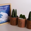 커피박 이미지