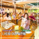 멍멍클럽 | 나트랑 애견동반 식당 | 세일링클럽 후기