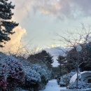 (주)포레스트 카라반 파크 | 제주포레스트카라반캠핑 가족들과 다녀온 힐링 후기