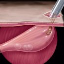 가디언 동물의료센터 이미지