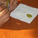 이오비즈 이미지