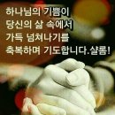 카카오스토리 이미지