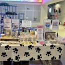 몽몽야옹 이미지