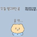 5/24 10시 30분 꼬질 망그러진곰 카카오톡 이모티콘 출시 이미지