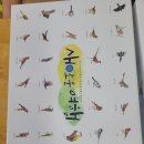 [강원도 횡성 숙소]🌳 국립횡성숲체원 4인실 투숙 후기! 취사 불가라 더 쾌적한 힐링 숙소 (feat. 식당...