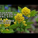 Love is Just a Dream" - 사랑은 꿈과 같은 것 이미지