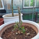 승현농장 이미지