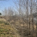 명화부동산공인중개사사무소 이미지