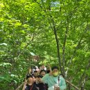 지리산의행복한하루 - 서초구 강남대로 221 | 🌲 천마태권도 '지리산 천년송 탐방 & 힐링 캠프' 생생 후기! 🌲