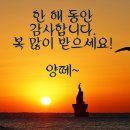 다사다난의 2025년 을사년을 보내면서... 이미지