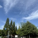 종합운동장내 수영장 | 천안 종합운동장 수영장 주말 자유수영 후기 (오리발 가능)